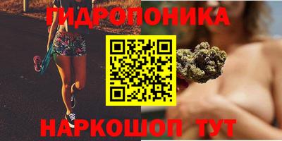 ГАЛЛЮЦИНОГЕННЫЕ ГРИБЫ Канаш