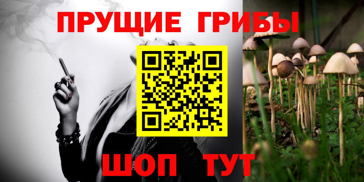 Псилоцибиновые грибы Psilocybe  Галлюциногенные грибы мицелий  Вход с VPN  Красноярск 